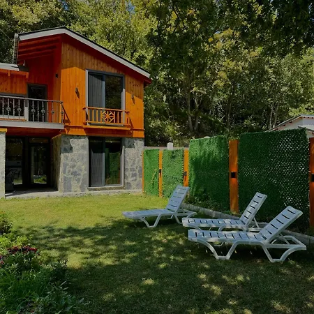 With Private Pool Defne